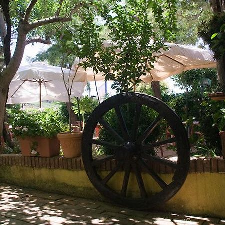 Hotel Ristorante Solari Briatico Ngoại thất bức ảnh